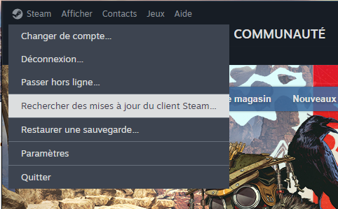 Mise à jour de STEAM